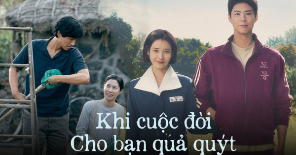 Khi Cuộc Đời Cho Bạn Quả Quýt và cho khán giả tuyệt tác hay nhất 2025 - Lõi lọc giấy xếp loại nào tốt nhất hiện nay?
