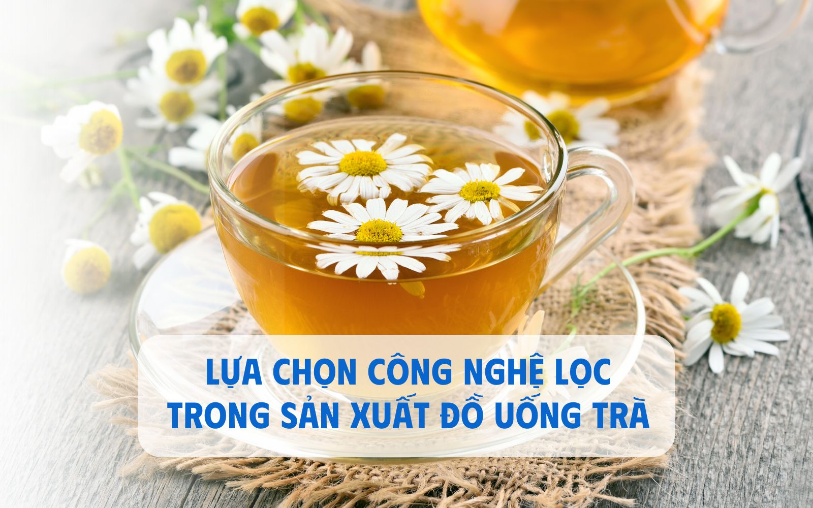 Lựa chọn công nghệ lọc trong sản xuất đồ uống trà