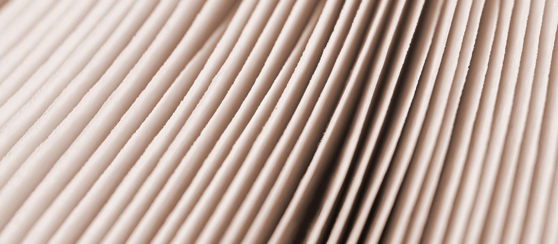 Pleated Filter Cartridge